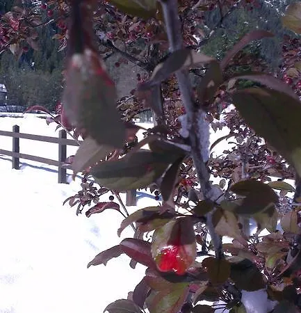 Resort Margherita & *