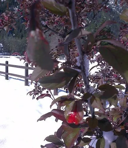 Resort Margherita & *